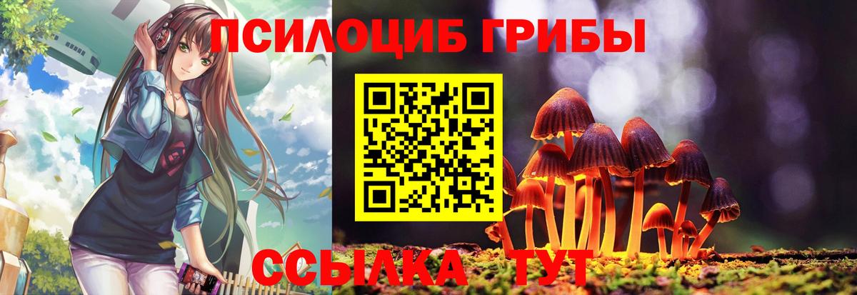 Галлюциногенные грибы Psilocybe  Вход с VPN  купить наркотик  Каспийск 